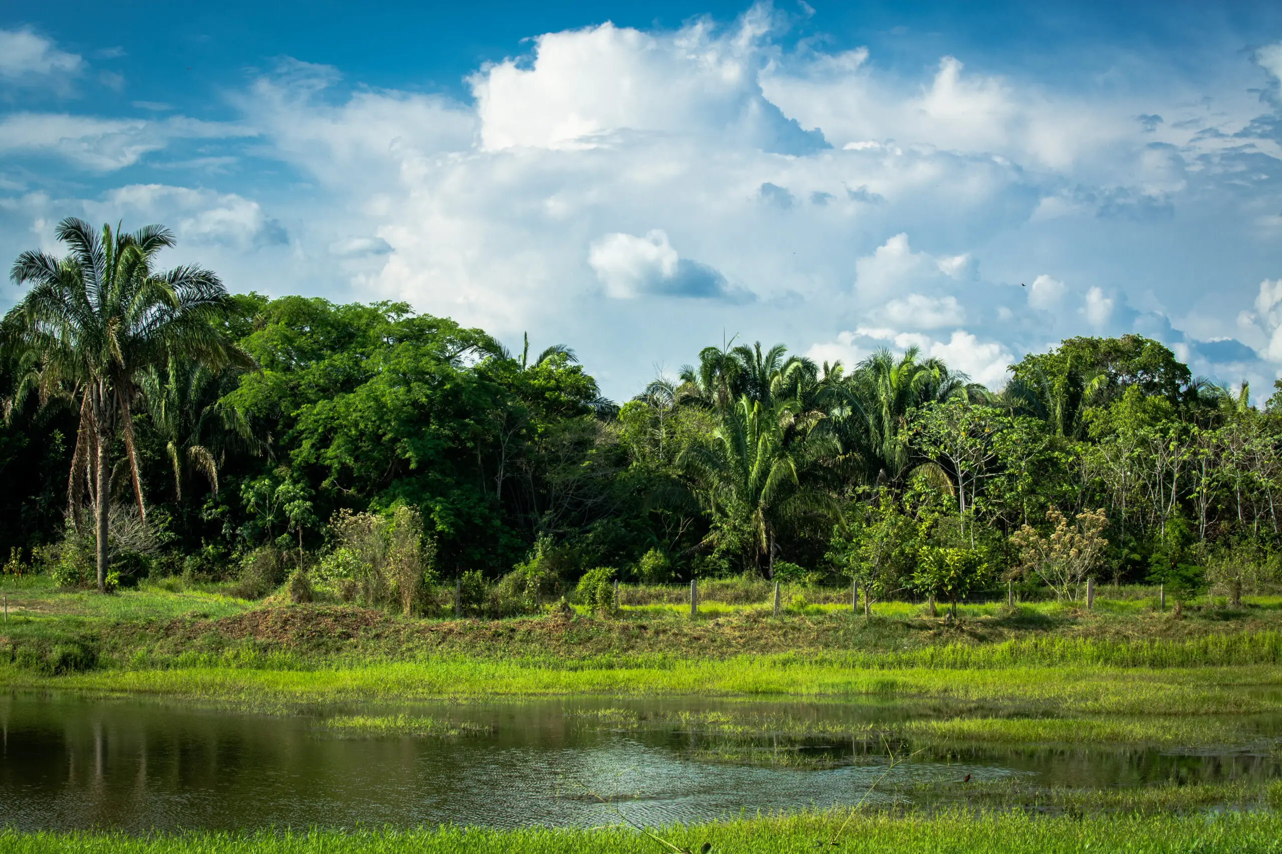 Adapting to climate change 